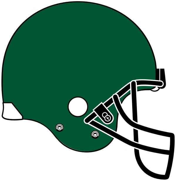 Tulane Green Wave 2005 Helmet Logo DIY iron on transfer (heat transfer)